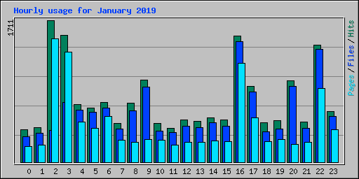 Hourly usage for January 2019