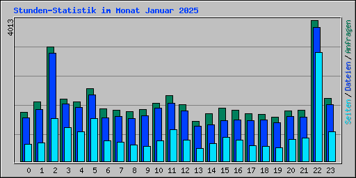 Stunden-Statistik im Monat Januar 2025