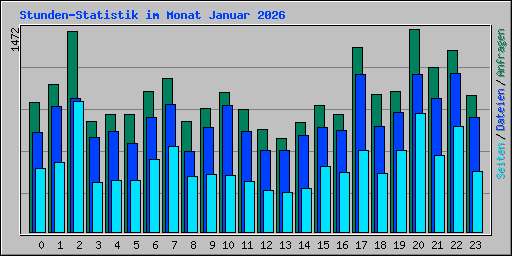 Stunden-Statistik im Monat Januar 2026