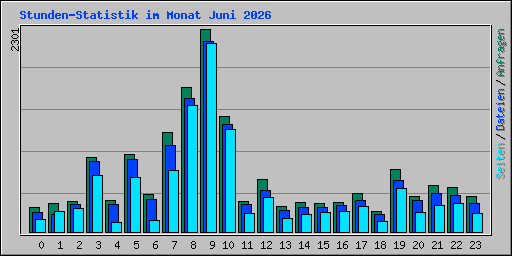 Stunden-Statistik im Monat Juni 2026