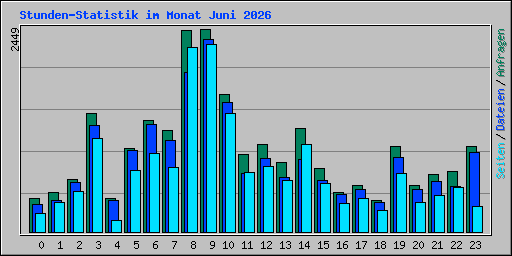 Stunden-Statistik im Monat Juni 2026